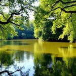 Grote Vijver in Amsterdamse Bos weer veilig om te zwemmen