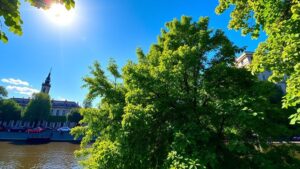 Zonnig weer in Amsterdam op 28 augustus