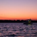 De Zwoele Sail: zomeravonden op het water