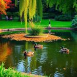 Wilde eenden in Amsterdam hebben het moeilijk