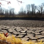 Minder muggen door droogte in Amsterdam