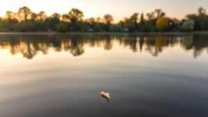 Lichte verbetering waterkwaliteit in Amsterdam